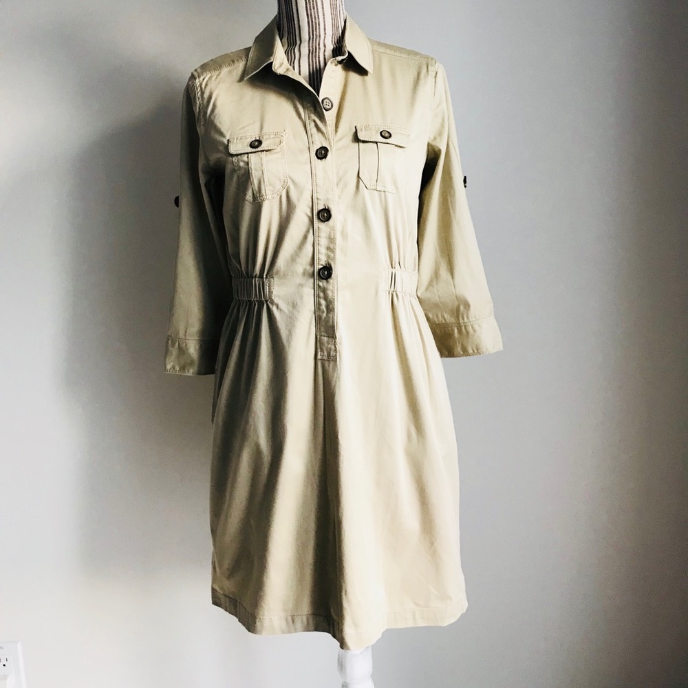 Ann Taylor Loft Dress (love2)